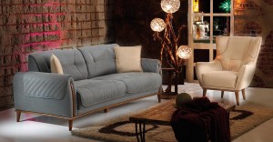 Roza Plus Salon Takımı